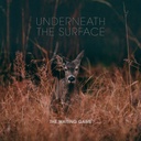 Waiting Game, The - Underneath The Surface