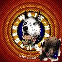 Walt Hamburg - And Louie!