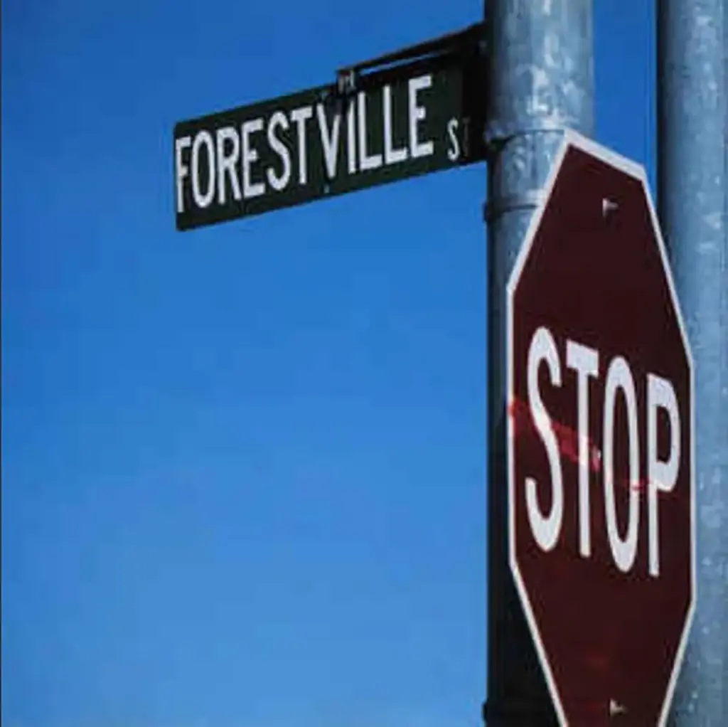 Bracket ‎– 924 Forestville St.