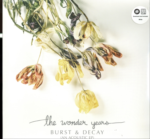 Wonder Years, The - Burst & Decay