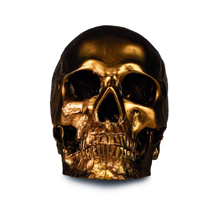 Establishment, The - II 