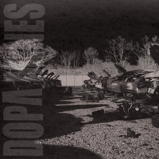 Dopamines, The - Tales Of Interest