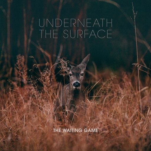 Waiting Game, The - Underneath The Surface