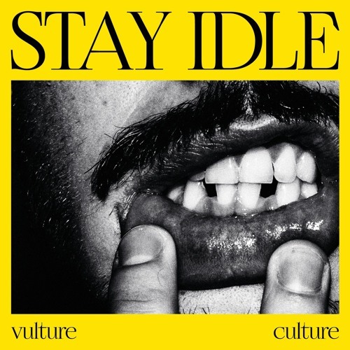 Stay Idle - Vulture Culture