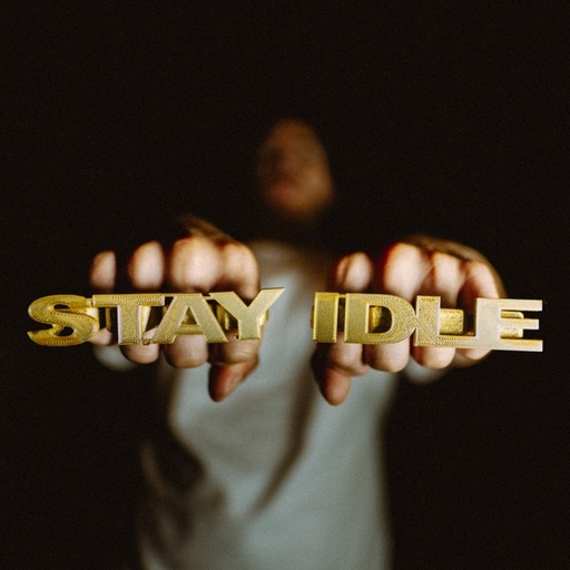 Stay Idle - The Algorhythm CD