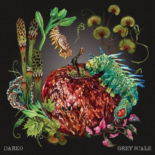Darko - Greyscale