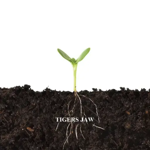 Tigers Jaw - Balance And Composure