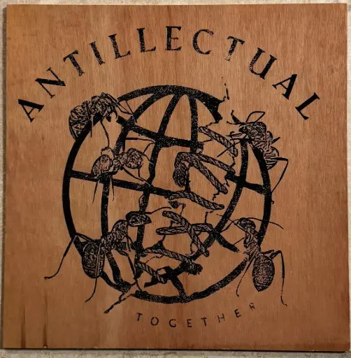 Test Pressing Antillectual - Together